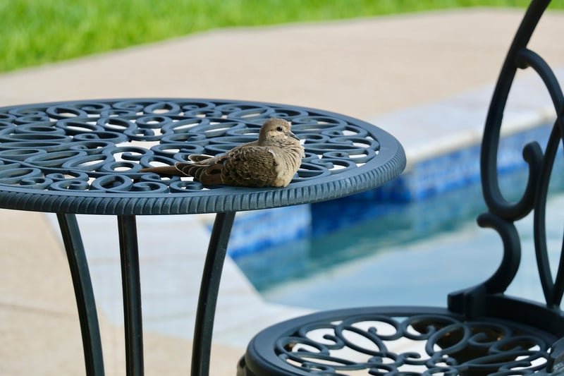 Patio Furniture DIYs